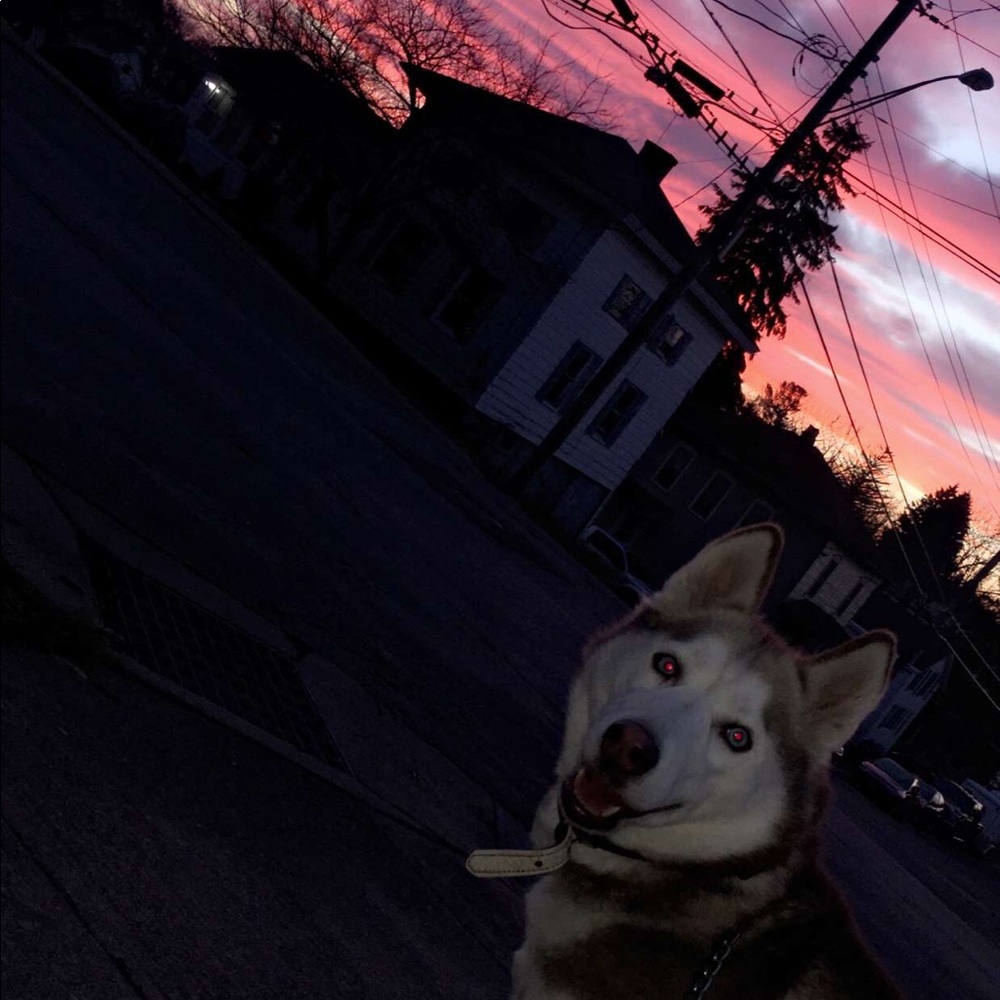 Meet your Posher, Ashley